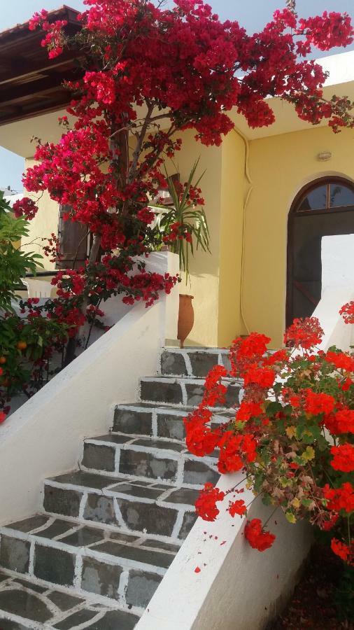 Elia Houses Koutsounari Exterior photo